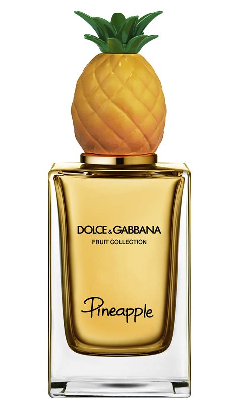 dolce gabbana parfum wikipedia|dolce and gabbana unisex fragrance.